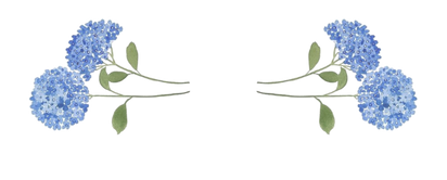 Casamento Anna Luiza & Mauricio ()