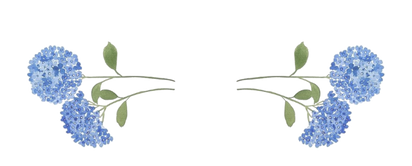 Casamento Anna Luiza & Mauricio ()